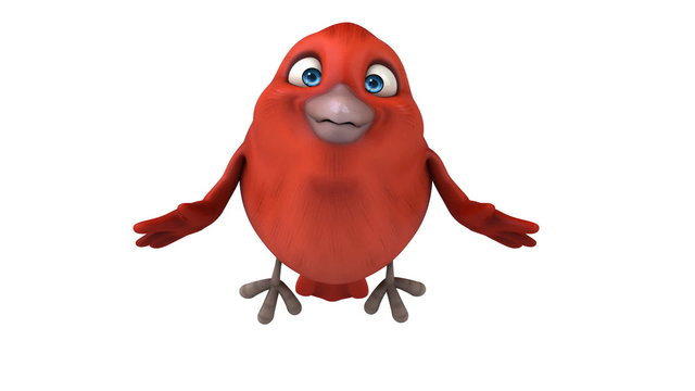 Red bird