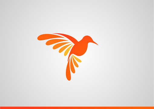 Logo koliber