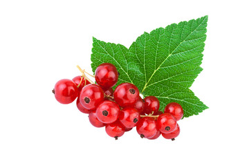 Redcurrant with leaf isolated on white background