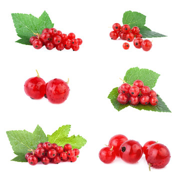 Redcurrant set, ripe berries isolated on white background