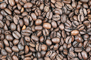 Kaffeebohnen