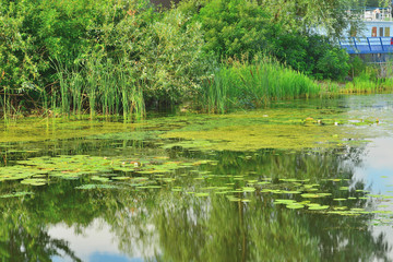 Залив Днепра