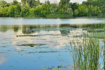 Залив Днепра