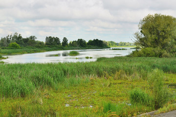 Залив Днепра