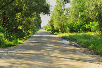 Дорога вдоль реки