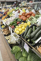 Greengrocer vegetables filled