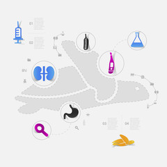 Set of veterinary icons