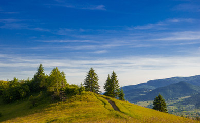 Beautiful summer landscape in the mountains in Carpathian