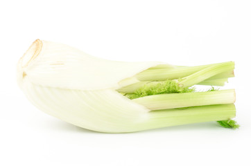 Fresh fennel