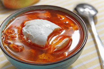 Traditional hungarian soup