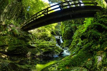 natural waterfall bridge