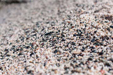 Beach-Small-Shells-Sand