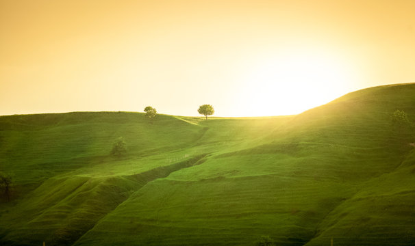 Fototapeta landscape of green hills at sunrise