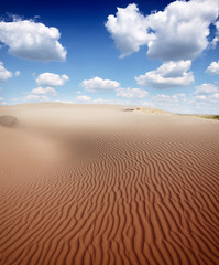 Beautiful sand dunes in the Sahara desert, Tunisia