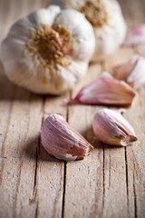 fresh garlic