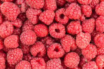 Raspberries background