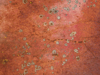 Red Rust and Lichen Abstract