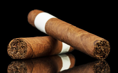 The cuban cigars