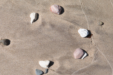 stones in wet sand