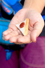 Sandwich bread topped with strawberry jam on hand.