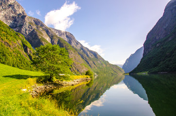 Fototapeta na wymiar Nærøyfjord in Norway