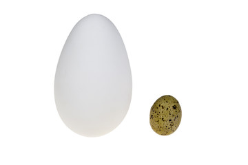 goose egg and a quail egg
