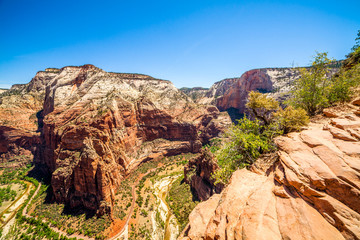 Fototapeta premium Beautiful view of canyon in Zion National Park.