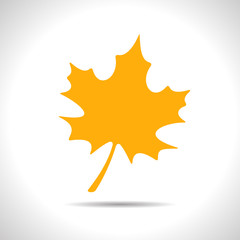 Vector maple leaf icon. Eps10