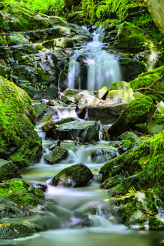 Fototapeta natural waterfall