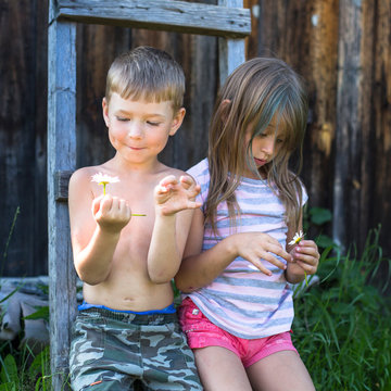 Little Boy And Little Girl With Daisy Near