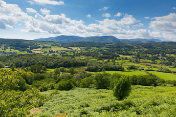 Fototapeta na wymiar Lake District countryside and mountains near Hawkshead Cumbria