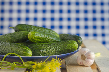 Cucumbers with pimples on the plate with tartan background