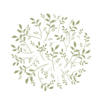 Spring leaf frame for your design