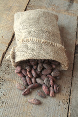 fèves de cacao