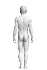 Human body anatomy