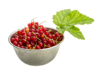 Red currant