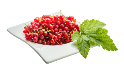 Red currant