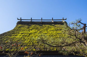 茅葺屋根