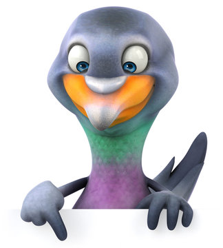 Pigeon