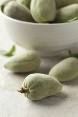 Fresh green almonds