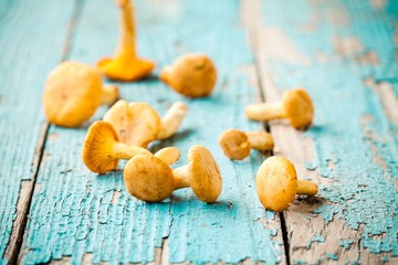 fresh chanterelle mushrooms on a wooden background