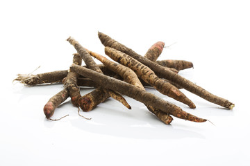 Schwarzwurzeln, Studio