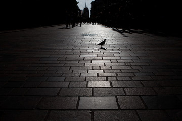 Fototapete bei efototapeten.de bestellen   