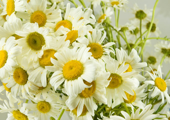 Fototapeta premium beautiful bouquet of daisies on the table closeup