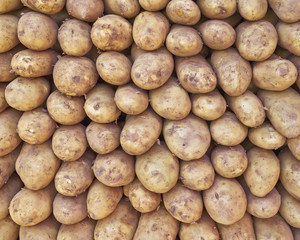 raw potatoes for sale closeup