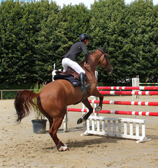 Concours Saut d'obstacles.