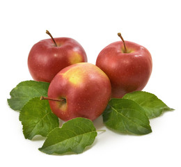 image of a ripe apple on a white background