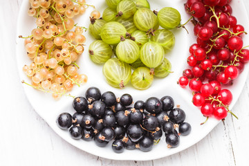 Currants and gooseberry