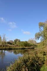 Fototapeta na wymiar Etang et roseaux, rivière de la Bièvre, Jouy en josas