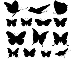 Schmetterlinge Vektor Set